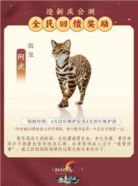 天龙八部私服仙境之神